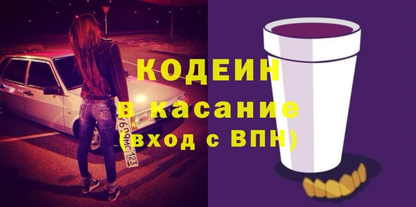 шишки Киренск