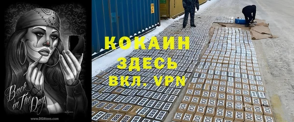 mdpv Киреевск