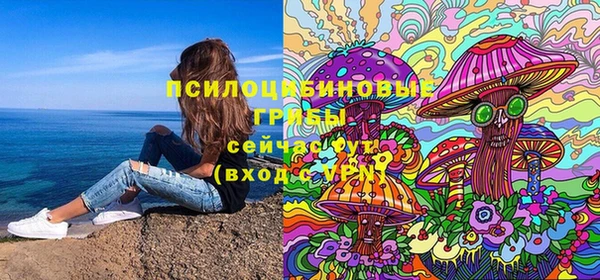 mdpv Киреевск