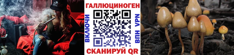 Галлюциногенные грибы мицелий  Томилино 